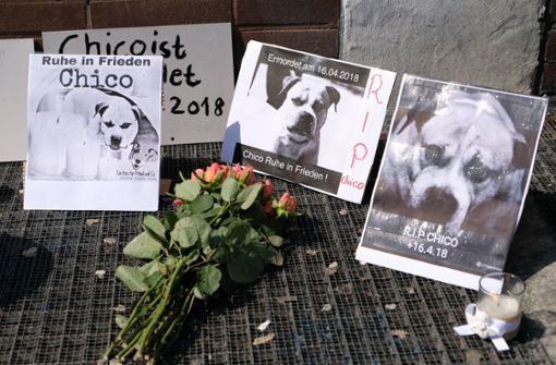Die Teilnehmer der Mahnwache legten Blumen, Kerzen und Stoffhunde nieder. Foto: dpa