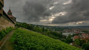 So wird Esslingen noch mehr  Weinstadt