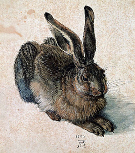 Zum Einstieg ein Klassiker: Wie der Hase zum Dürer kam, wissen wir nicht. Der deutsche Maler Albrecht Dürer hat dem Feldhasen jedenfalls im Jahr 1502 sehr lebensecht ein Denkmal auf Leinwand gesetzt. Foto: dpa