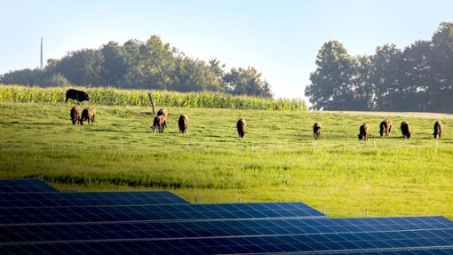 Photovoltaik-Anlagen treiben die Pachtpreise für landwirtschaftliche Flächen nach oben. Foto: imago /Arnulf Hettrich