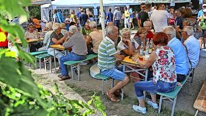 Das Wengertfest ist auch ein Angebot für Daheimgebliebene während der Sommerferien. Foto: avanti