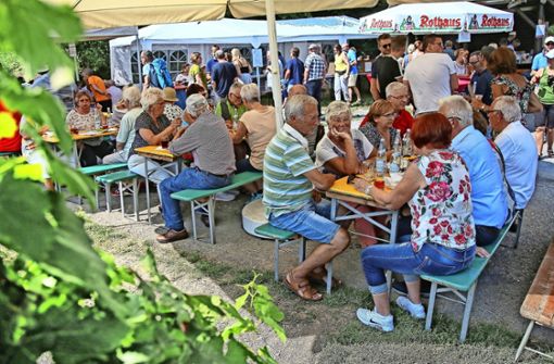 Das Wengertfest ist auch ein Angebot für Daheimgebliebene während der Sommerferien. Foto: avanti