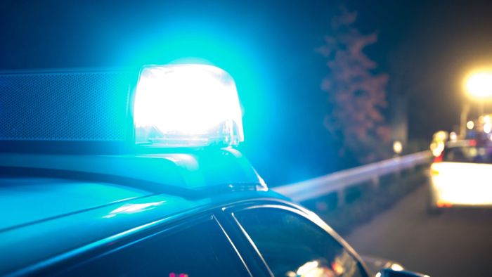Leiche mit Schussverletzungen auf Landstraße entdeckt