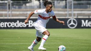 Daniel Didavi will dabei helfen, den VfB wieder in der Bundesliga zu etablieren. Foto: Baumann