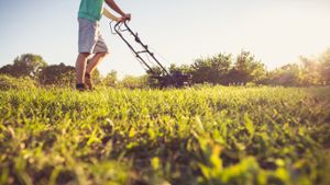 Wie lange darf man Rasen mähen?