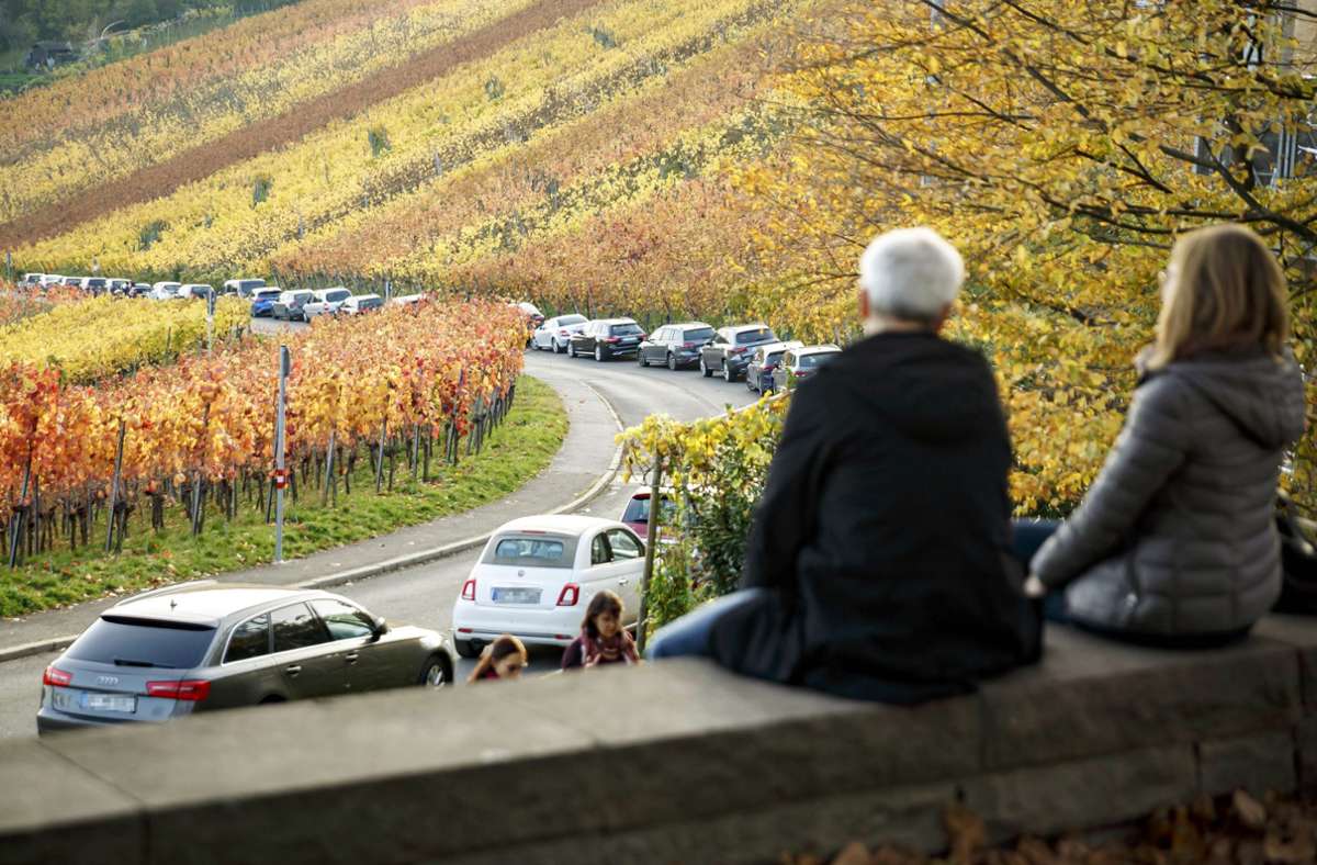 Der goldene  November  – ja, stimmt schon so  – ließ sich in Stuttgart im Freien auch am Rotenberg genießen. Foto: Lichtgut/Julian Rettig