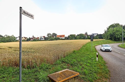 Neue Nachbarn für  Schlösslesfeld: Wo jetzt noch Getreide wächst, sollen schon bald neue Wohnungen entstehen. Foto: factum/Granville