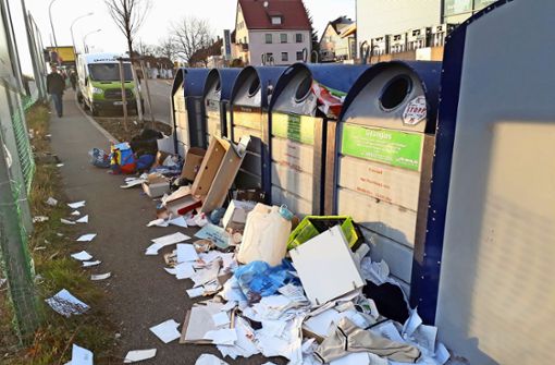 Illegal abgeladener Müll an der Zahn-Nopper-Straße ist ein Ärgernis –  nicht nur in Zuffenhausen. Foto: Torsten Ströbele