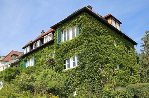 Grüne Oase in der Stadt: Das Haus der Familien Cramer und Rothfuss  im Stuttgarter Westen. Foto: StZN/Jonas Schöll