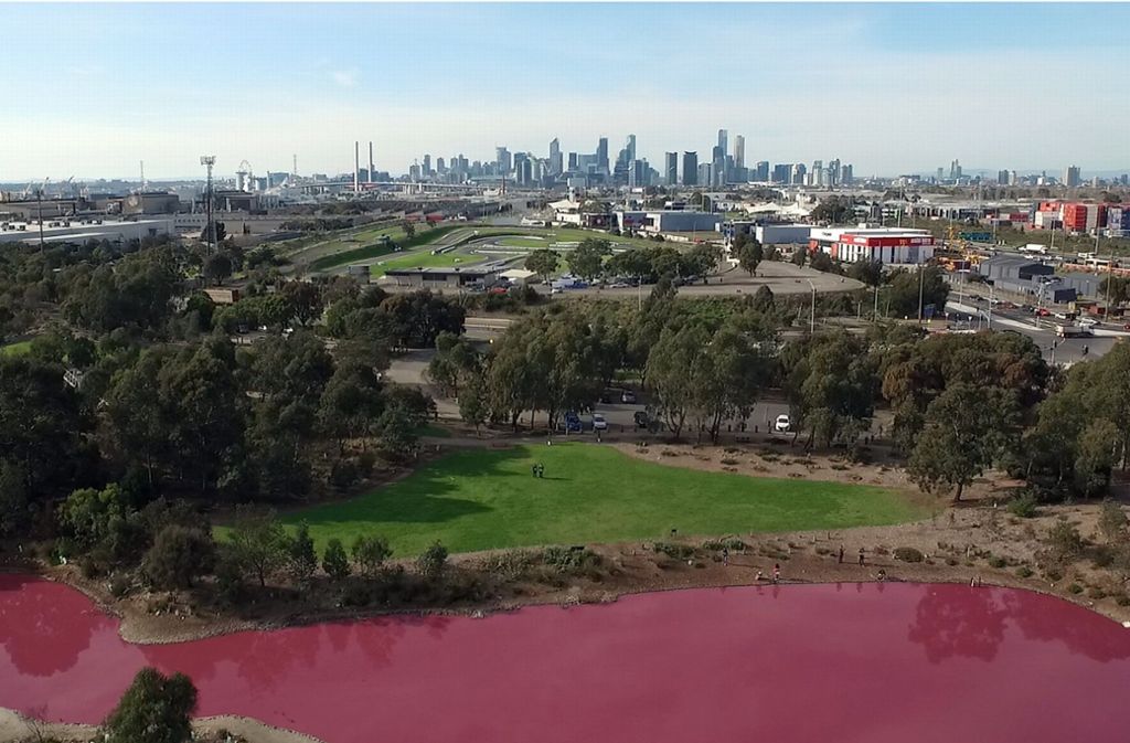Der Park in Melbourne in bittet seine Besucher, das Naturphänomen zu genießen, das Wasser aber nicht zu berühren. Foto: PARKS VICTORIA/AAP Image