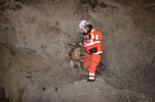 Die DRK-Rettungshunde sind derzeit oft im Einsatz. Foto: Gottfried Stoppel