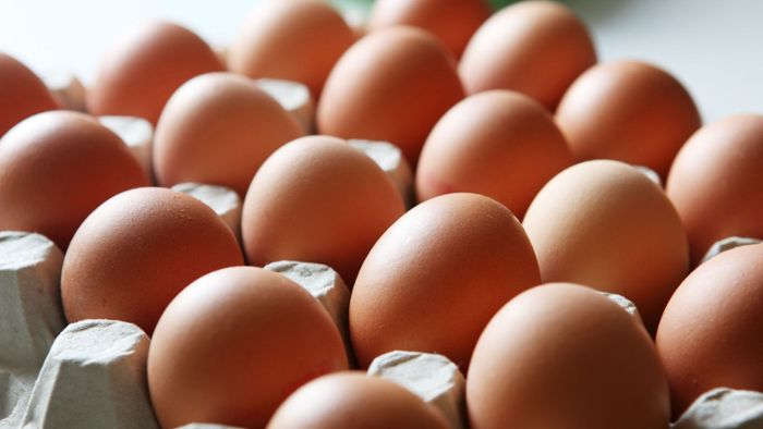 Eier wegen Salmonellen zurückgerufen