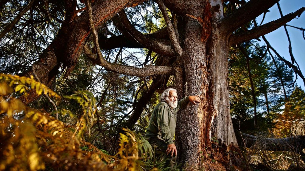 Walter Trefz versteht sich auf Bäume: Der Ökorebell  vom Kniebis