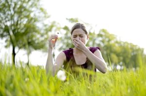 Haaatschi – Besonders auf Wiesen und Feldern haben Allergiker in den Frühlings- und Sommermonaten mit allergischen Reaktionen zu kämpfen. Foto: imago/luna