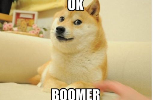 “Ok Boomer“ Foto: Meme