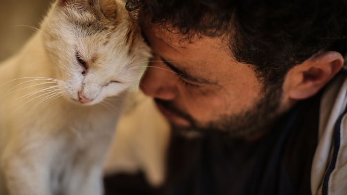Der Katzenmann von Aleppo – wie ein Syrer  Tiere rettet und Kindern hilft