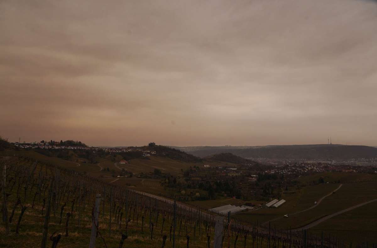 Am Dienstag sah der Himmel über den Weinbergen am Rotenberg beinahe blutrot aus.