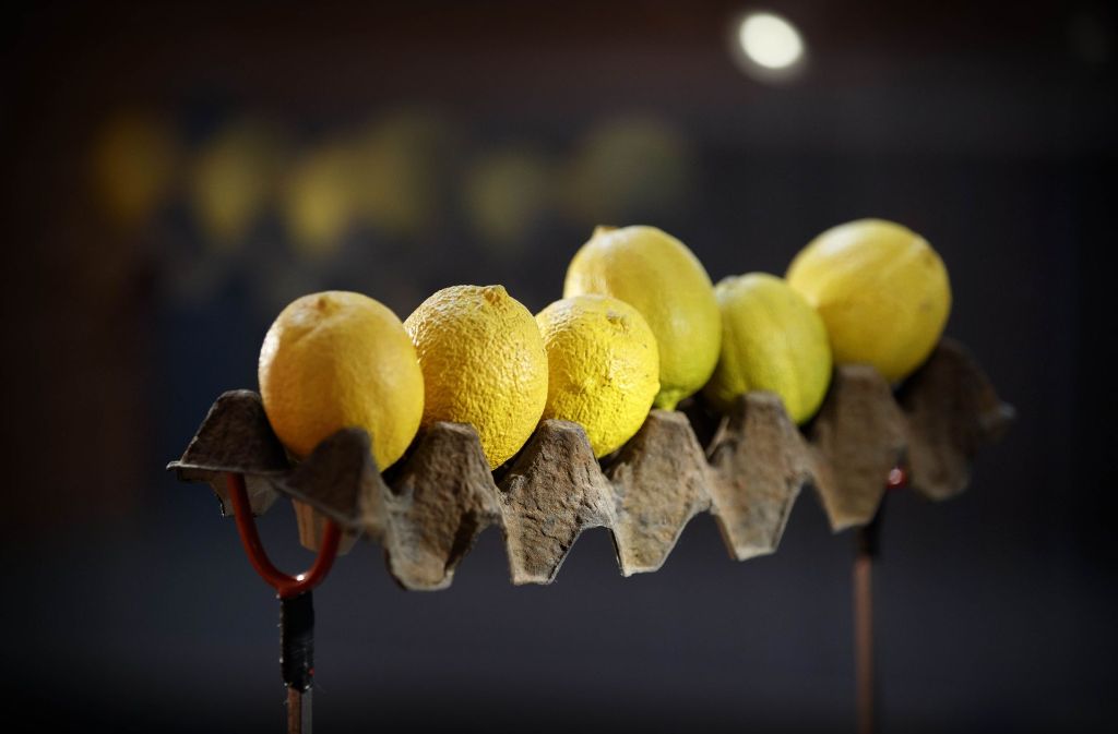 Britta M. Ischka behauptet von ihren Zitronen, sie seien „Echt“.