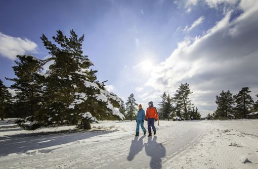 Die Schwäbische Alb ist auch im Winter ideales Terrain für Wanderungen. Foto: Albstadt/Schneewalzer