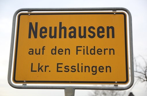 Zünfte aus Oberschwaben pilgern zum Umzug nach Neuhausen am 17. Januar. Foto: Pascal Thiel