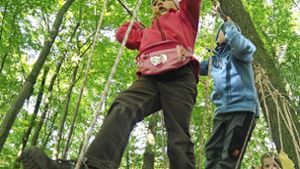 Waldkindergarten rückt in den Fokus