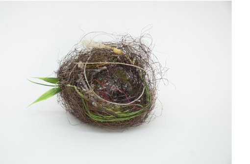 Björn Braun zeigt auf der Triennale Kleinplastik in Fellbach das kunstvoll gebaute Nest von Zebrafinken, die in seinem Atelier leben. Foto: Jason Wyche