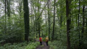 Während der häufige Regen bei vielen Menschen für schlechte Laune sorgt, freut sich der Wald über den Niederschlag. Foto: imago images/Jochen Tack /via www.imago-images.de
