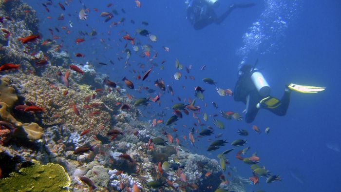 Guterres fordert nachhaltigen Umgang mit Ozeanen