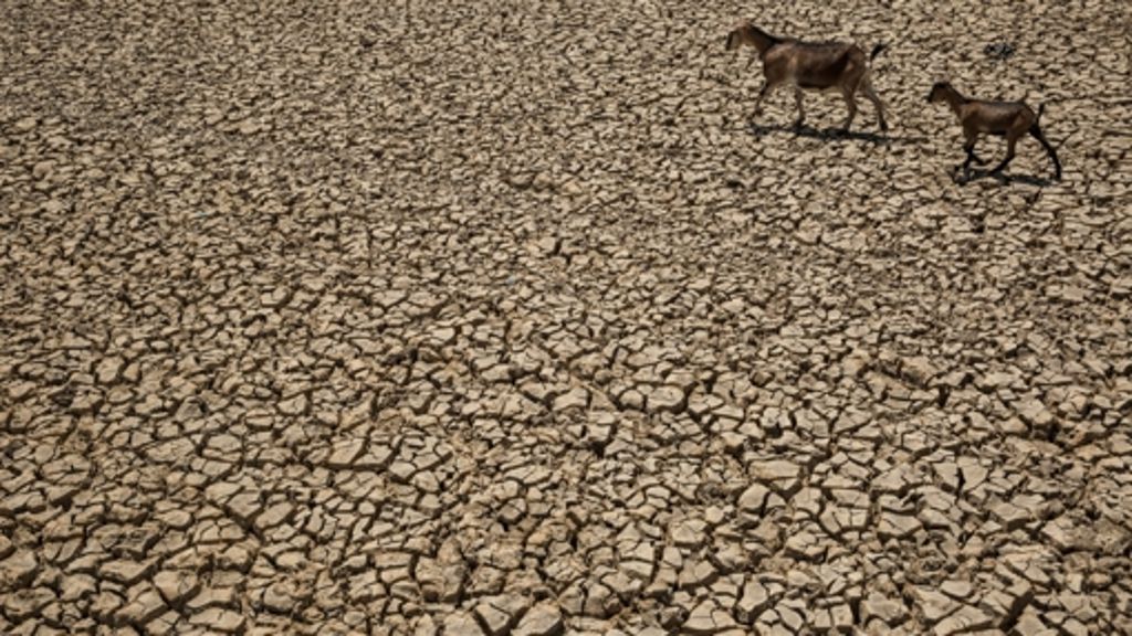 El Niño: Afrika befürchtet Hungersnot