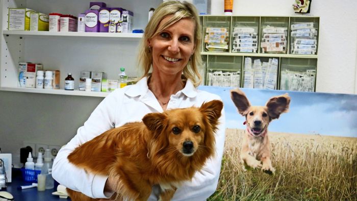Haustier-Boom in der Pandemie steigert das Tierleid