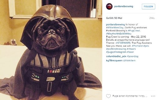 Beim #pugcrawl drehte sich alles um Möpse in Star-Wars-Outfits. Foto: Screenshot Instagram / portlandbrewing