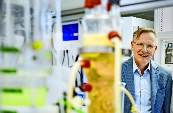 Leibniz-Preis für Tübinger Forscher: Bakterien helfen bei der Energiewende