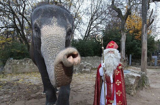 Sankt Nikolaus stattet den Tieren im Zoo einen Besucht ab. Foto: Wilhelma
