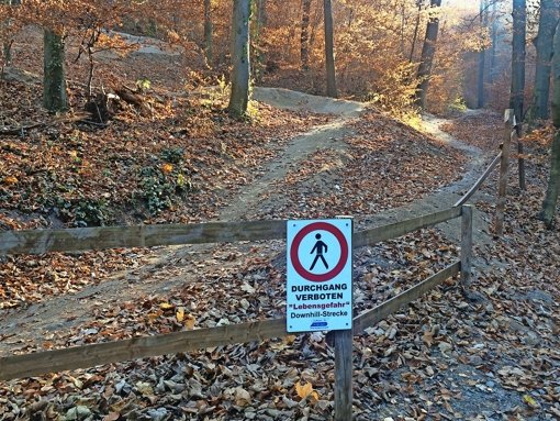 Neue Schilder an der Downhill-Strecke sollen den Fahrern den rechten Weg weisen und auch zu mehr Achtsamkeit bei den Fußgängern führen. Foto: Nina Ayerle