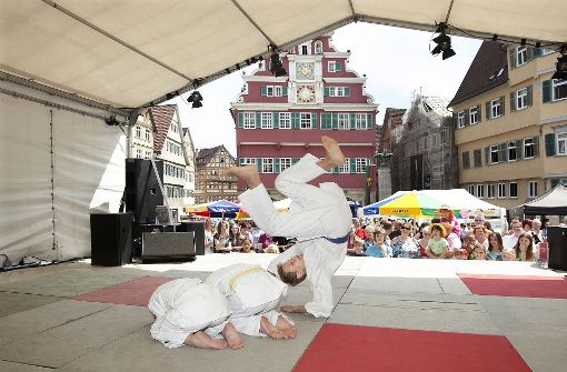 Auch Sportvereine nutzen das Bürgerfest, um auf sich aufmerksam zu machen. Foto: Horst Rudel