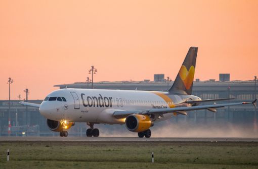 Condor fliegt weiter – zumindest vorerst. Aufgrund finanzieller Probleme erwartet das Unternehmen Hilfe vom Staat. Foto: picture alliance / dpa-tmn/Patrick Pleul