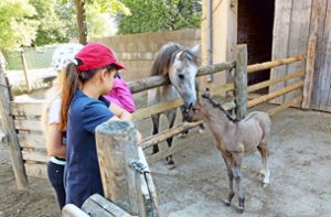 Ferien in Mühlhausen: Pferdefreuden besonderer Art