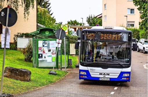 Dass Busfahrer im Hörnle lange warten müssen, zieht Probleme nach sich. Foto: KS-Images.de