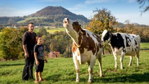 Wenn Michael Weber und sein Sohn Max auf die Weide kommen, trotten die Kühe ganz von selber zu ihnen herüber. Foto: Frank Eppler