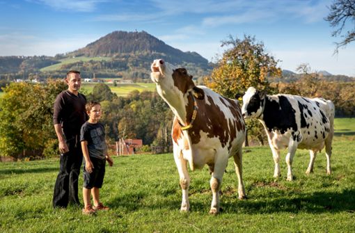 Wenn Michael Weber und sein Sohn Max auf die Weide kommen, trotten die Kühe ganz von selber zu ihnen herüber. Foto: Frank Eppler