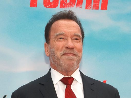 Arnold Schwarzenegger kämpft noch heute mit seiner Lese- und Schreibschwäche. Foto: AdMedia/ImageCollect