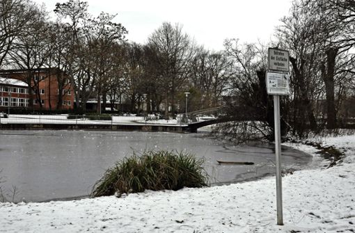 Das Eis auf dem Kornwestheimer Stadtparksee ist zwar gefroren – verboten ist das Betreten  des Teichs aber trotzdem. Foto: /Peter Meuer