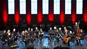 Die Streicher des Stuttgarter Kammerorchesters geben am 5. September auf zentralen Plätzen in Wangen und Untertürkheim ein kostenloses Open-Air-Konzert. Foto: Stuttgarter Kammerorchester/Reiner Pfisterer (z)