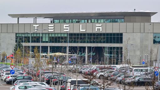 Wie geht es für Tesla in Brandenburg weiter? Foto: dpa/Patrick Pleul