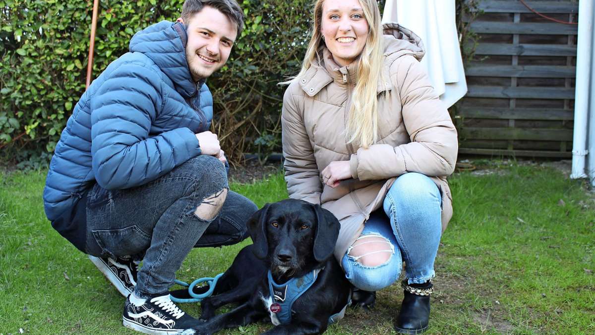 Nellinger Paar sammelt für kranken Hund: Warum immer mehr Menschen im Internet um Spenden bitten