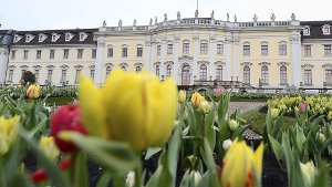 Erste Tulpen blühen vor dem Schloss Ludwigsburg – die Blüba-Saison ist gestartet. Foto: dpa