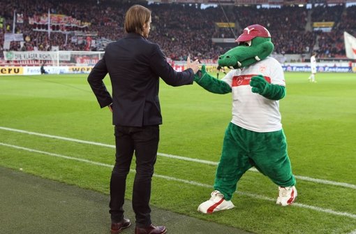 VfB-Trainer Thomas Schneider will mit einem Heimsieg starten Foto: Pressefoto Baumann