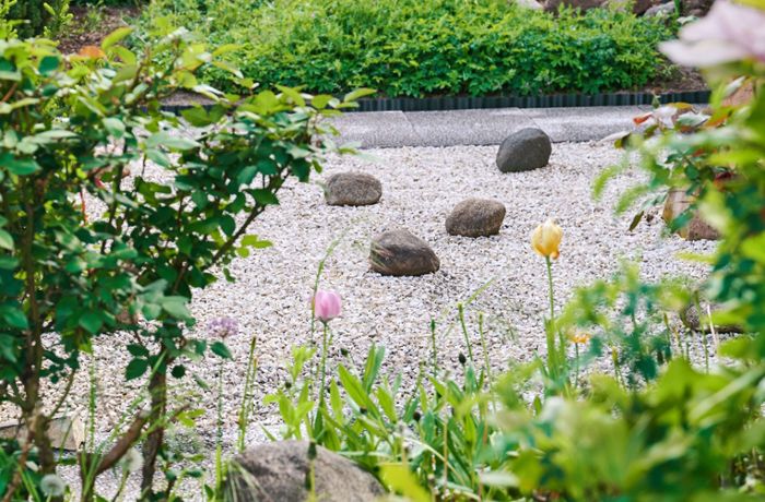 Holzgerlingen: Kontra den Schottergärten: Der hässlichste Garten gewinnt