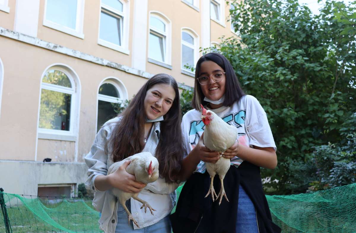 Alina, 14 (links) und Ceren, 14, kümmern sich gerne um die Hühner. Foto: Georg Friedel