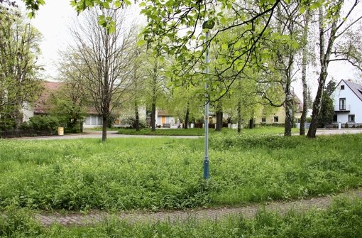 Schöne Bäume und grüne Wiesen: Wieso soll der Platz bei der Kindertagesstätte an der Löwensteiner Straße 49 umgestaltet werden? Das fragen sich einige Anwohner. Foto: Friedel